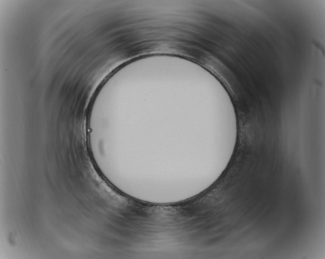 X0000103911092200809191257