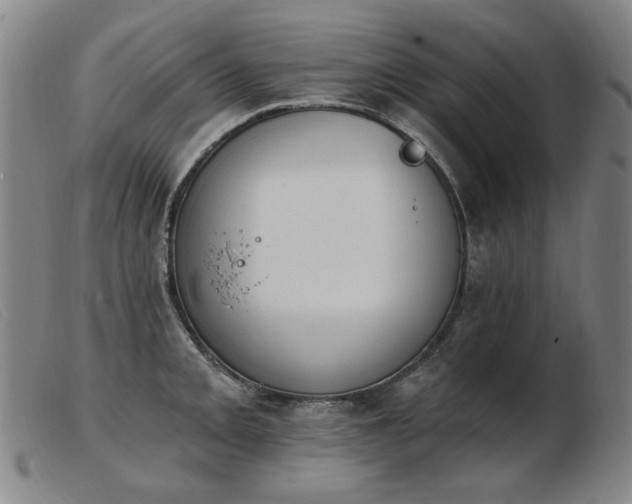 X0000103911093200809191256