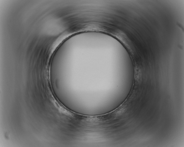 X0000103911094200809191256