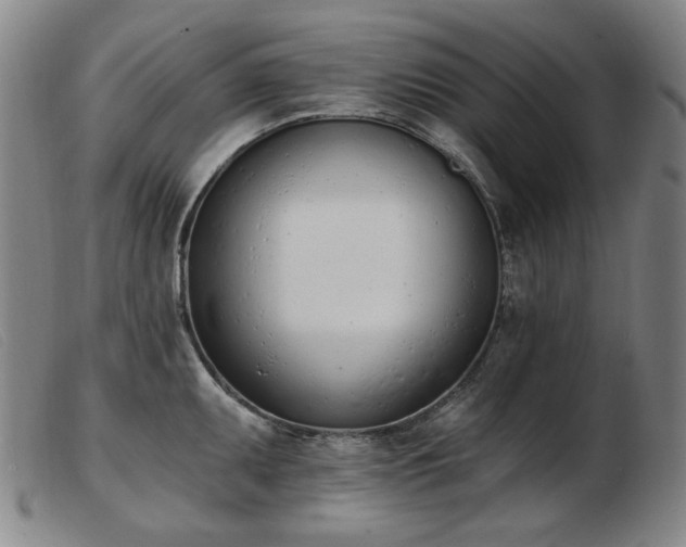 X0000103911095200809191256