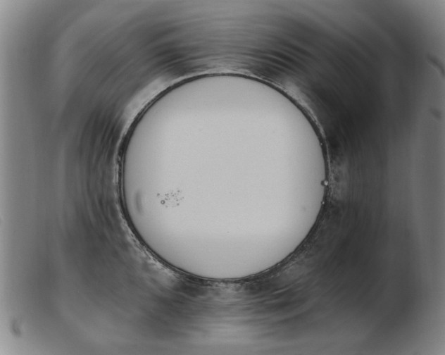 X0000103911096200809191256