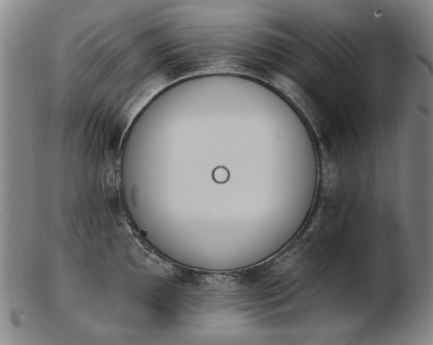 X0000103911097200809191256