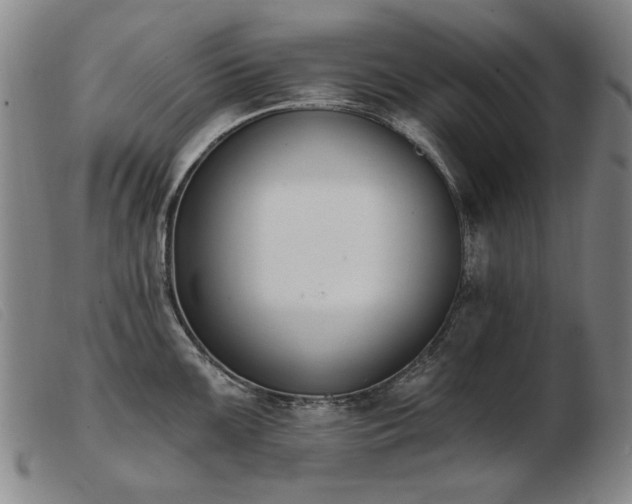 X0000103911099200809191256