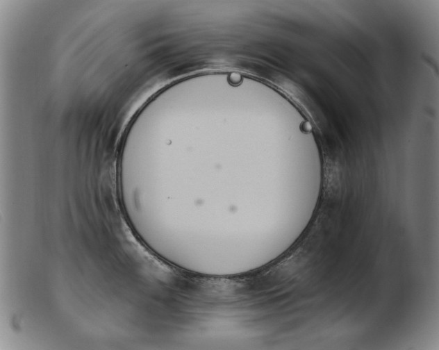 X0000103911100200809191256