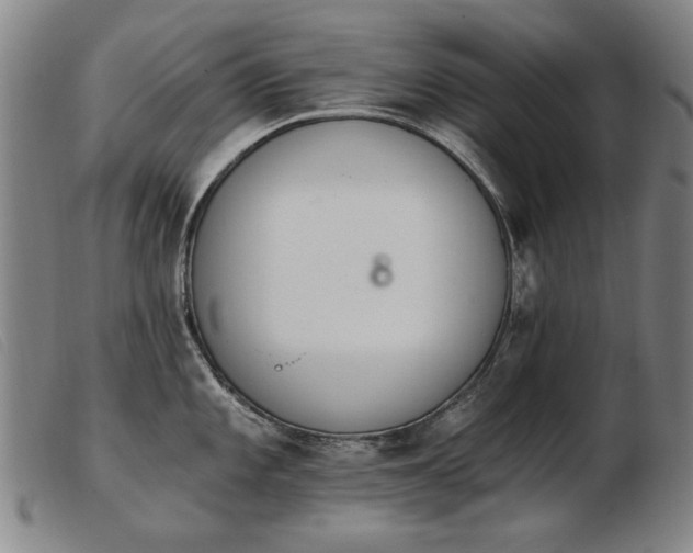 X0000103911101200809191256