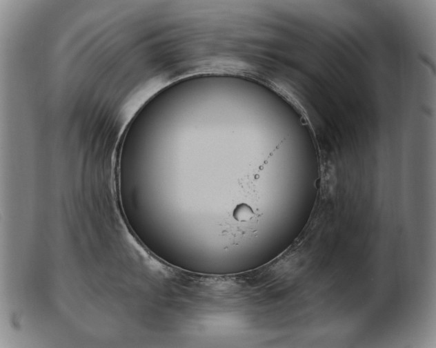 X0000103911103200809191256
