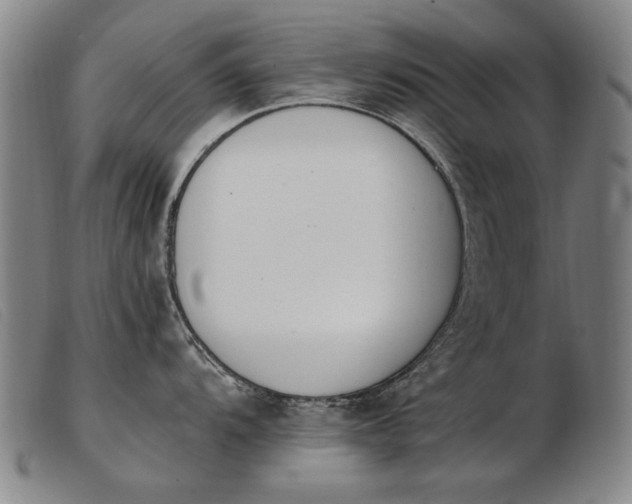 X0000103911104200809191256