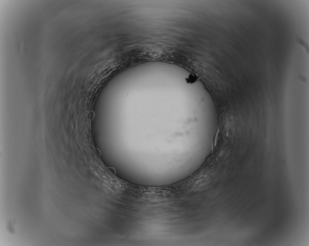 X0000103911105200809191256