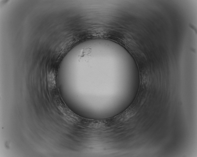 X0000103911106200809191256