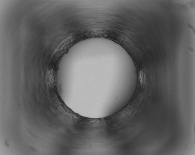 X0000103911107200809191256