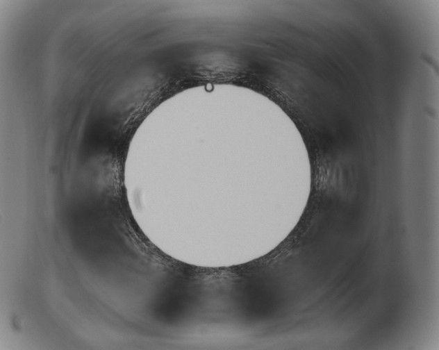 X0000103911108200809191256