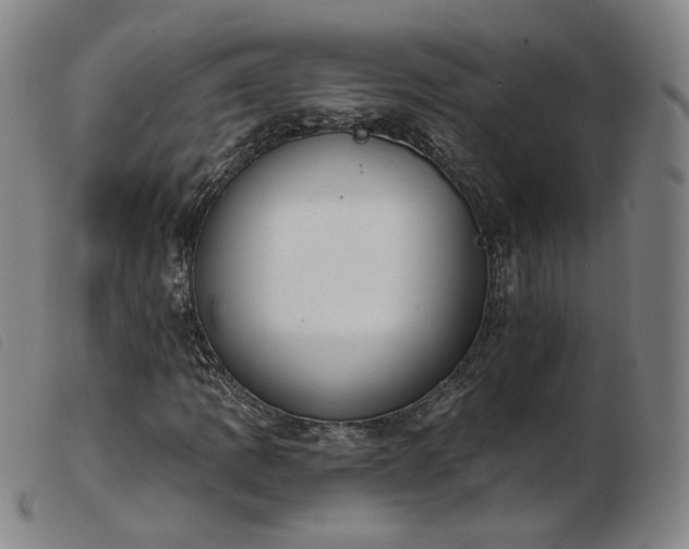X0000103911109200809191256
