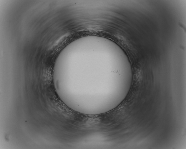 X0000103911110200809191256