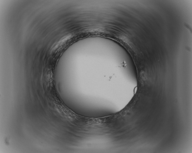 X0000103911111200809191256