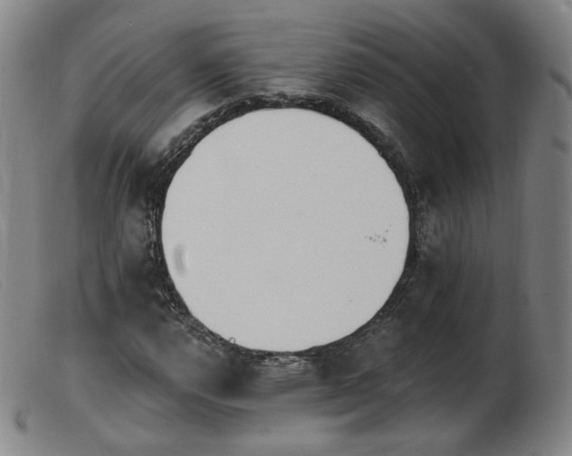 X0000103911112200809191256