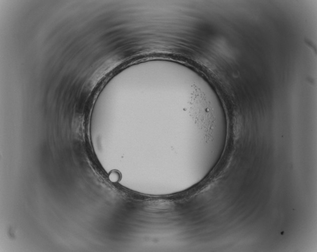 X0000103911113200809191256