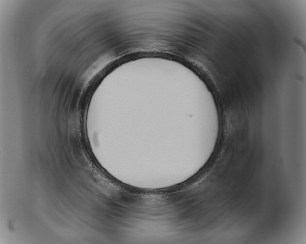 X0000103911114200809191256