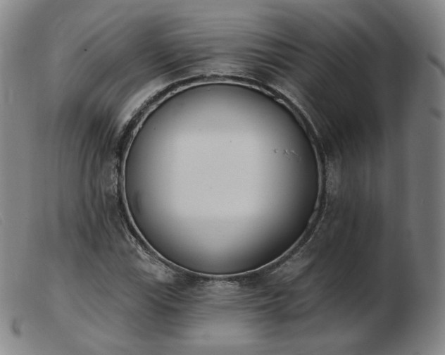 X0000103911115200809191256