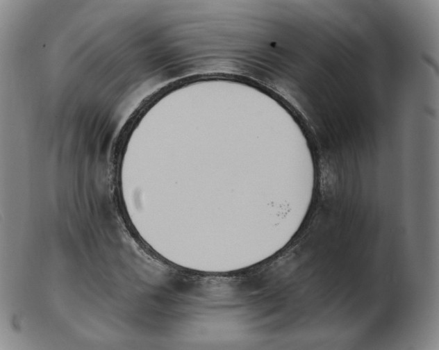 X0000103911116200809191256