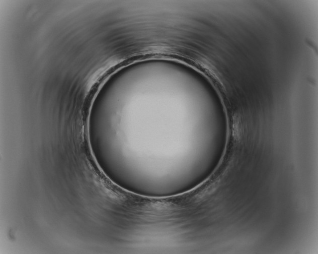 X0000103911117200809191256