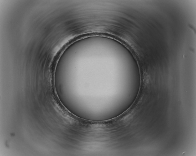 X0000103911118200809191256