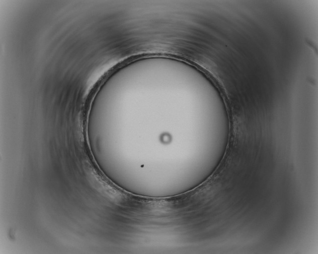 X0000103911120200809191256