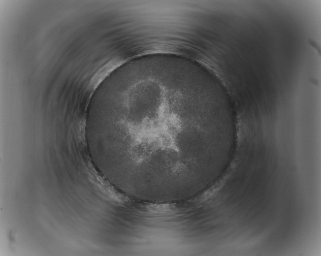 X0000103911121200809191256
