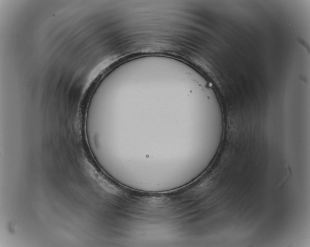 X0000103911122200809191256