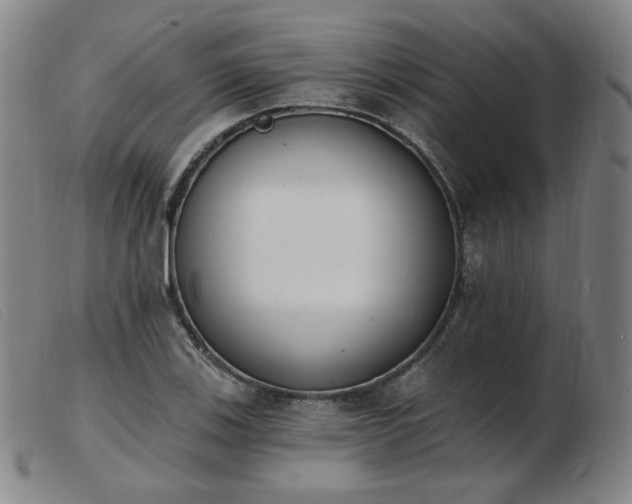 X0000103911123200809191256