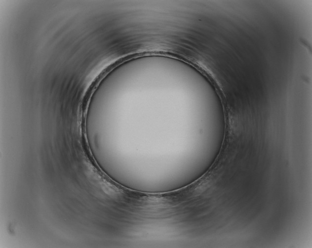 X0000103911124200809191256