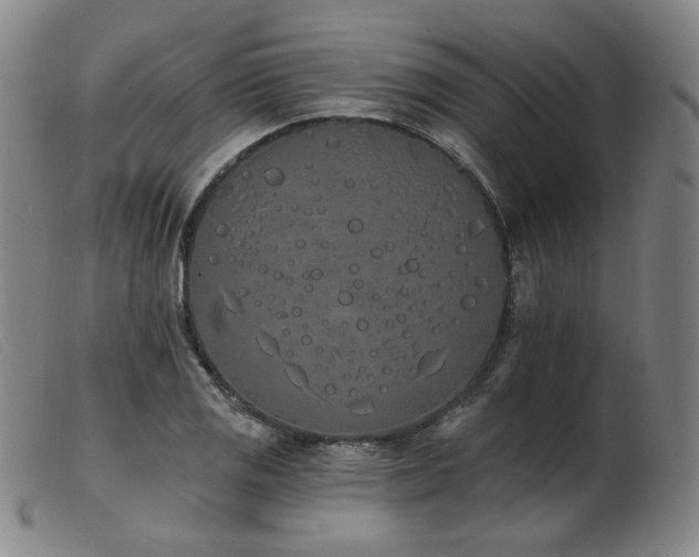 X0000103911125200809191256