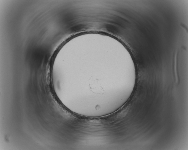 X0000103911126200809191256