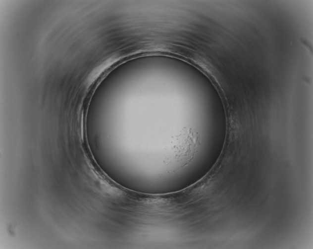X0000103911127200809191256
