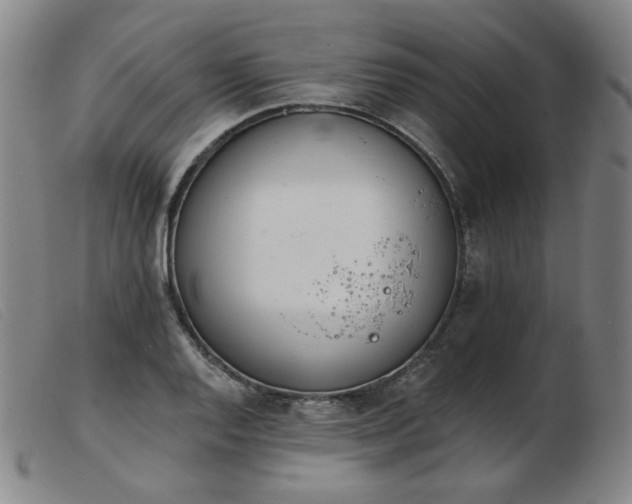 X0000103911128200809191256