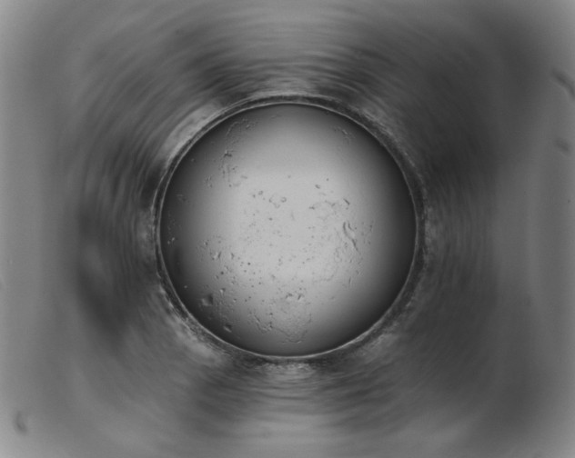 X0000103911129200809191256