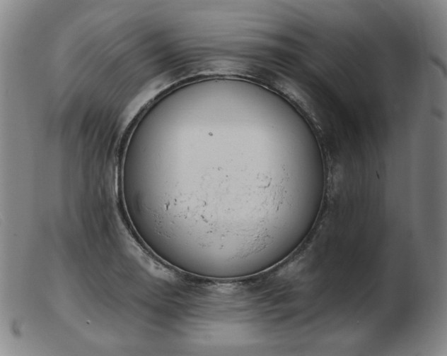 X0000103911130200809191256