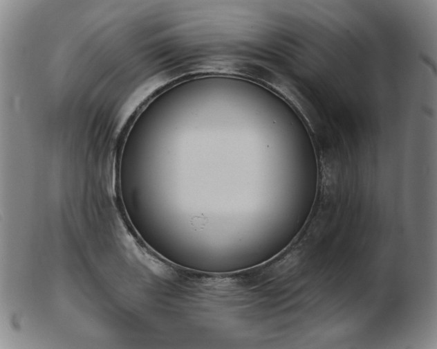 X0000103911131200809191256