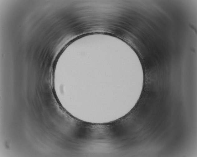 X0000103911132200809191256
