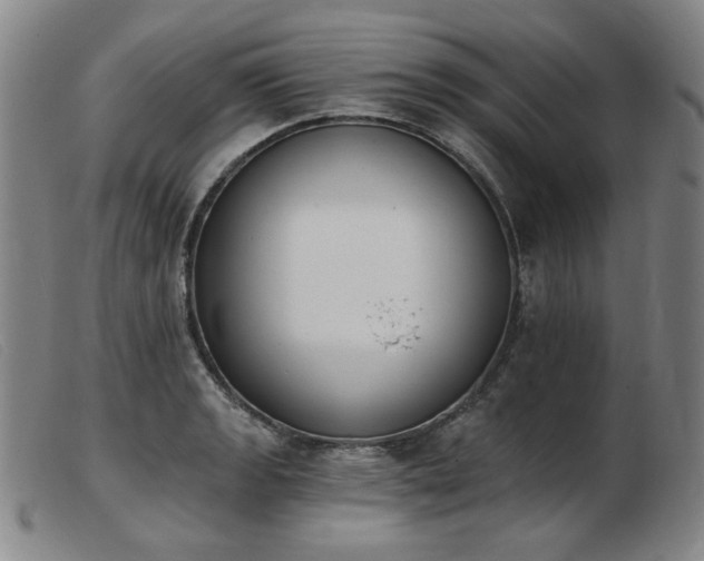 X0000103911133200809191256