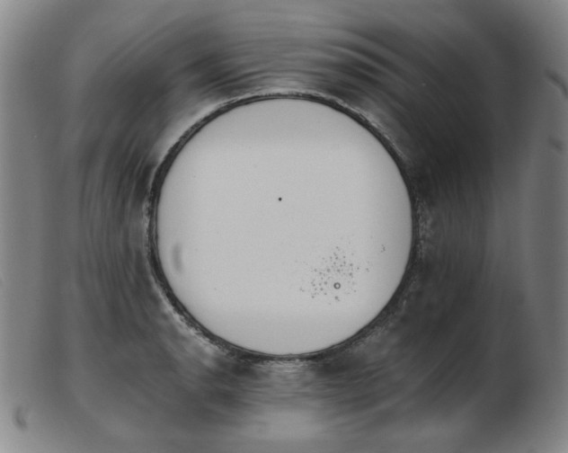 X0000103911134200809191256