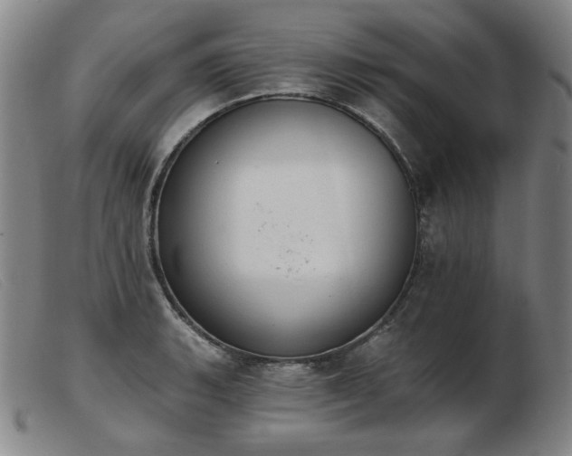 X0000103911135200809191256