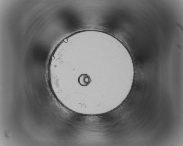 X0000103911136200809191256
