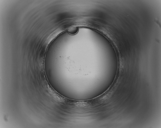 X0000103911137200809191256