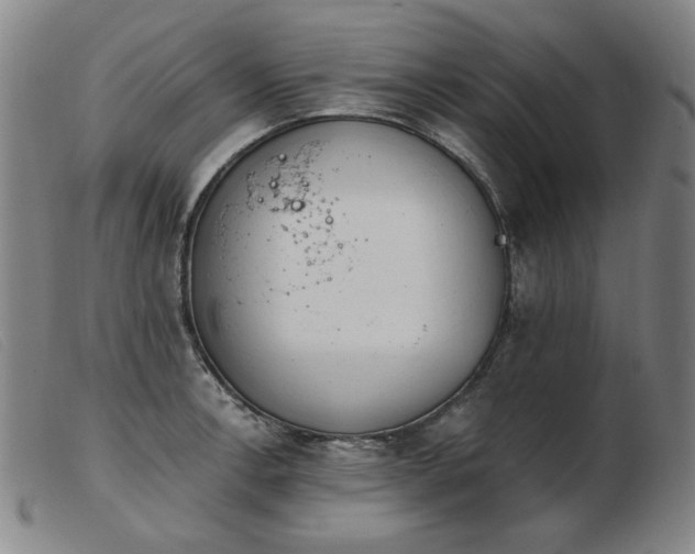 X0000103911138200809191256