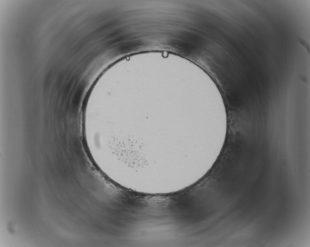 X0000103911140200809191256