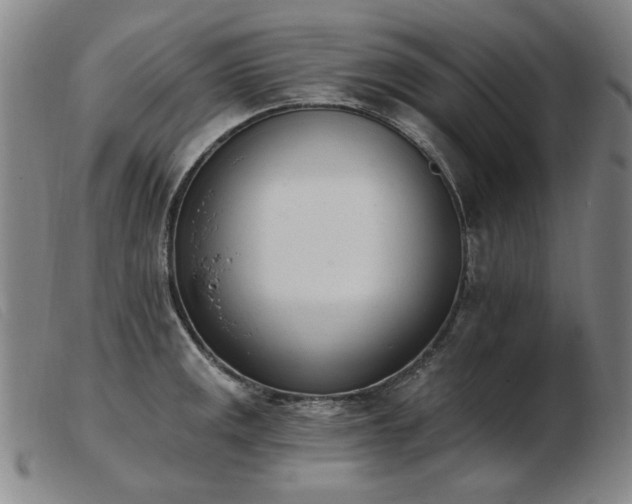 X0000103911141200809191256