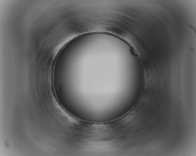 X0000103911142200809191256