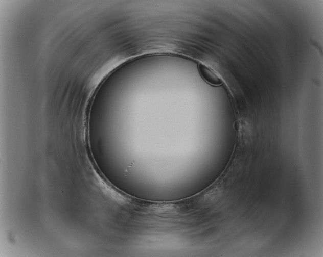 X0000103911143200809191256