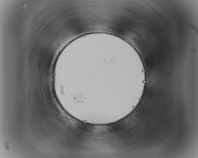 X0000103911144200809191256