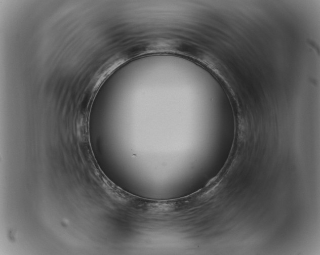 X0000103911145200809191256